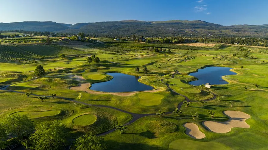 Top 5 Wineries