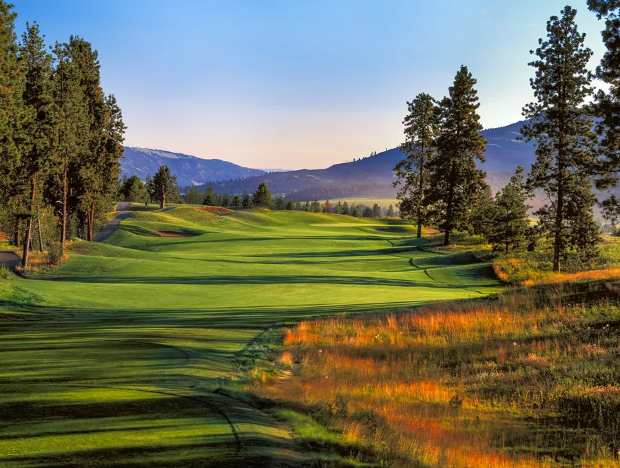 The Bear at Okanagan Golf Club